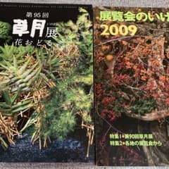 草月いけばな　展覧会　予約品のサムネイル