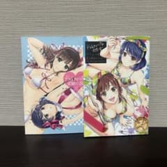 ドメスティックな彼女 イラスト集と官能小説 2冊セットのサムネイル