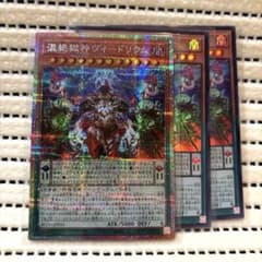 混絶獄神ヴィードリウム プリシク1枚 ウルトラ2枚 遊戯王OCG - メルカリ