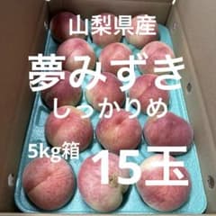 2.訳あり 山梨県産 桃 夢みずき 5kg箱 - メルカリ