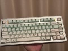 Evo75➕Osume抹茶 - メルカリ