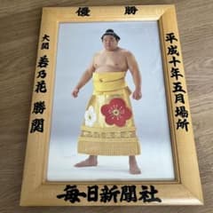 優勝額2枚　平成10年5月場所　8年3月場所　大相撲のサムネイル