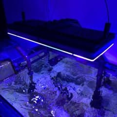 lumini  pixie 150G2 システム LED フルスペ+スポット照明のサムネイル