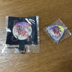 B'z 稲葉浩志 松本孝弘 FYOP ツアーグッズ ピック型バッジ 新品 - メルカリ