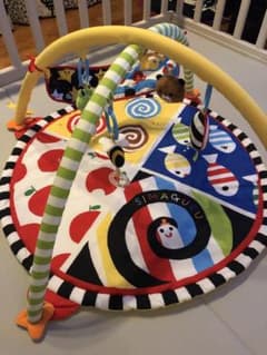 【美品！】わらう！なきやむ！しましまぐるぐる 遊んで成長やわらかカラフルジムのサムネイル