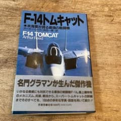 F-14 トムキャットのサムネイル