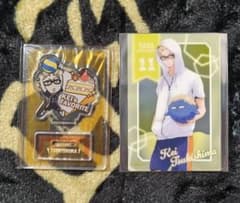 ハイキュー 月島蛍 きゃらグルメ クリアカード ビーチボールver.