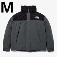 M日本未発売ノースフェイスグレーブラック灰黒ネルトンダウン 