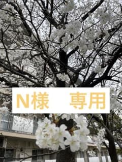 N様　専用のサムネイル