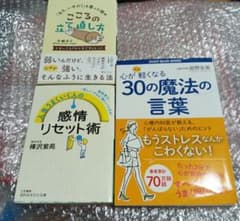 こころの立て直し方　感情リセット　30の魔法の言葉　ストレス発散　本　帯あり
