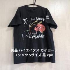 美品 ハイエイタス カイヨーテ Tシャツ Sサイズ 黒 xpv - メルカリ