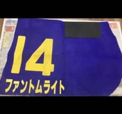 JRA 実使用 ゼッケン G1 ファントムライト 調教のサムネイル