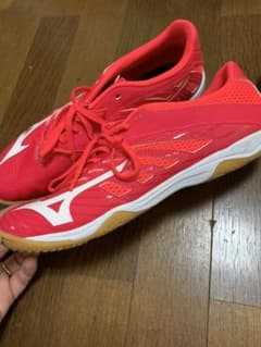 みきちん様 専用 mizunoのサムネイル