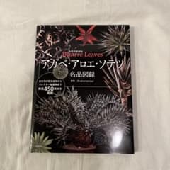 Bizarre Leaves アガベ・アロエ・ソテツ 名品図録のサムネイル