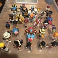 ワンピの実カプセルなしのサムネイル