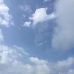 RYO様専用のサムネイル