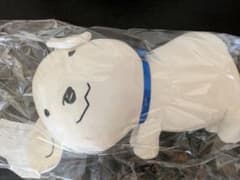 밴드하자! 화이트데이 온라인 복권 그렇게 싸움 인형