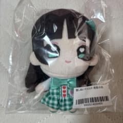 若葉のあ　推しぬいマスコット　ぬいぐるみキーホルダー　武道館 iLiFE! 若葉のあ 武道館 推しぬい ぬいぐるみ - メルカリ