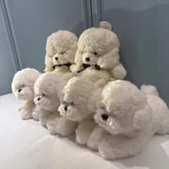 【新品未使用】大人気！韓国犬雑貨ブランド「JUMINE」 Baby Mongguのサムネイル