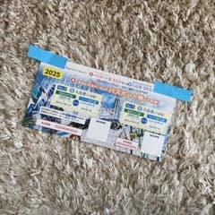 ナガシマスパーランド なばなの里 利用券 パスポート券のサムネイル