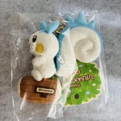 パチリス ポケモン 韓国限定ポップアップ ぬいぐるみ キーリング