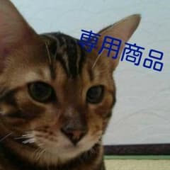 まー☆様専用 axes 白黒ブラウスのサムネイル