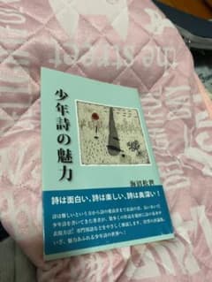 少年詩の魅力のサムネイル