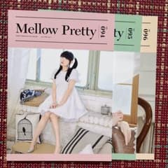 田村ゆかり　ファンクラブ会報まとめ売り　No.20〜94、SP、バインダー1個 m37563612928_1.jpg?1770187445