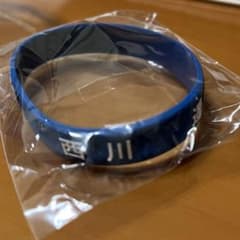 北海道日本ハムファイターズ ラバーブレス 西川遥輝のサムネイル