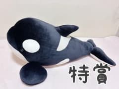 名古屋港水族館 シャチ ぬいぐるみくじ 特賞 黒 - メルカリ