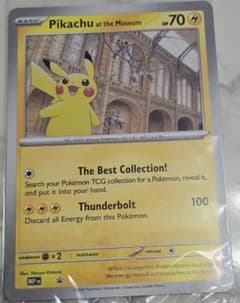 未開封 ポケモンカード ロンドン 自然史博物館 ピカチュウ Museum