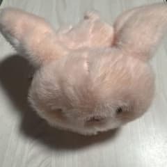 うさぎ ぬいぐるみのサムネイル