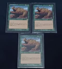 MTG 土を食うもの/Terravore [ODY版] 日本語 3枚セット - メルカリ