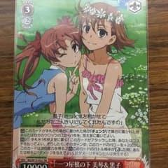 一つ屋根の下 美琴&黒子のサムネイル
