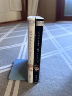 心中するまで、待っててね。 上下巻セット 市梨きみのサムネイル