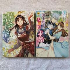 聖女の魔力は万能です 5のサムネイル