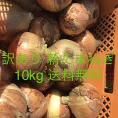 期間限定  訳あり 新玉ねぎ 10kg 送料無料 農家直送のサムネイル