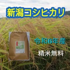 農家直送！新潟コシヒカリ玄米10kgのサムネイル