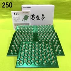 長生灸250壮(ライト)＋お灸説明書 ツボ図付き - メルカリ