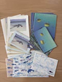 全て柄が違う⭐︎海のレターセットのサムネイル
