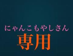 専用のサムネイル