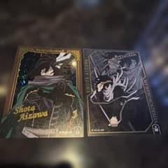 히로아카 pictas 아이자와 소타