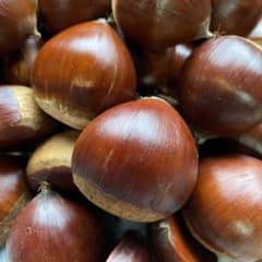 無農薬・上州産ぽろたん栗１．２ｋｇ以上②のサムネイル