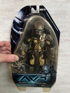 d*3様 NECA テンプルガードプレデター TEMPLE GUARD PRED - メルカリ