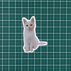 방수 스티커 ☆ 레트로 ☆ [신품] ☆ 인감 ☆ 흰 고양이 ☆ 귀여운 ☆ V240