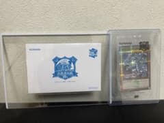 【未開封】青眼の白龍 決闘者伝説 入場特典(封筒付き) あんしん鑑定できます 遊戯王 青眼の白龍 25th 未開封 決闘者伝説 封筒付き - メルカリ