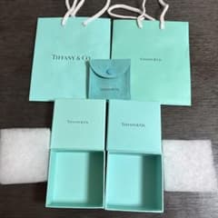 最終価格！早いモン勝ち【状態良好】Tiffany&Co. 空箱 巾着袋 セットのサムネイル