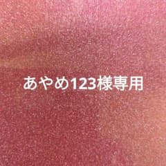 あやめ123様専用 EXPO'70 日本万国博覧会記念メダル 金銀銅+銀+銅