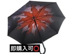 붕괴 스타 레일 장야 월 코스프레 우산