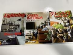 男らしい植物 グリーンインテリアライトニング グリーンライフ